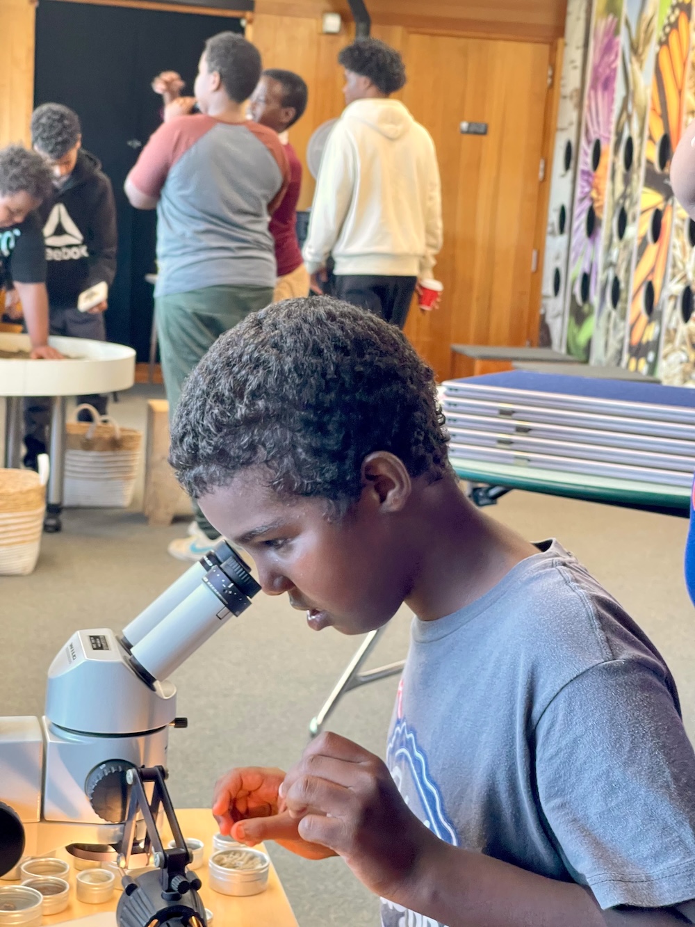 Science and microscope exploration